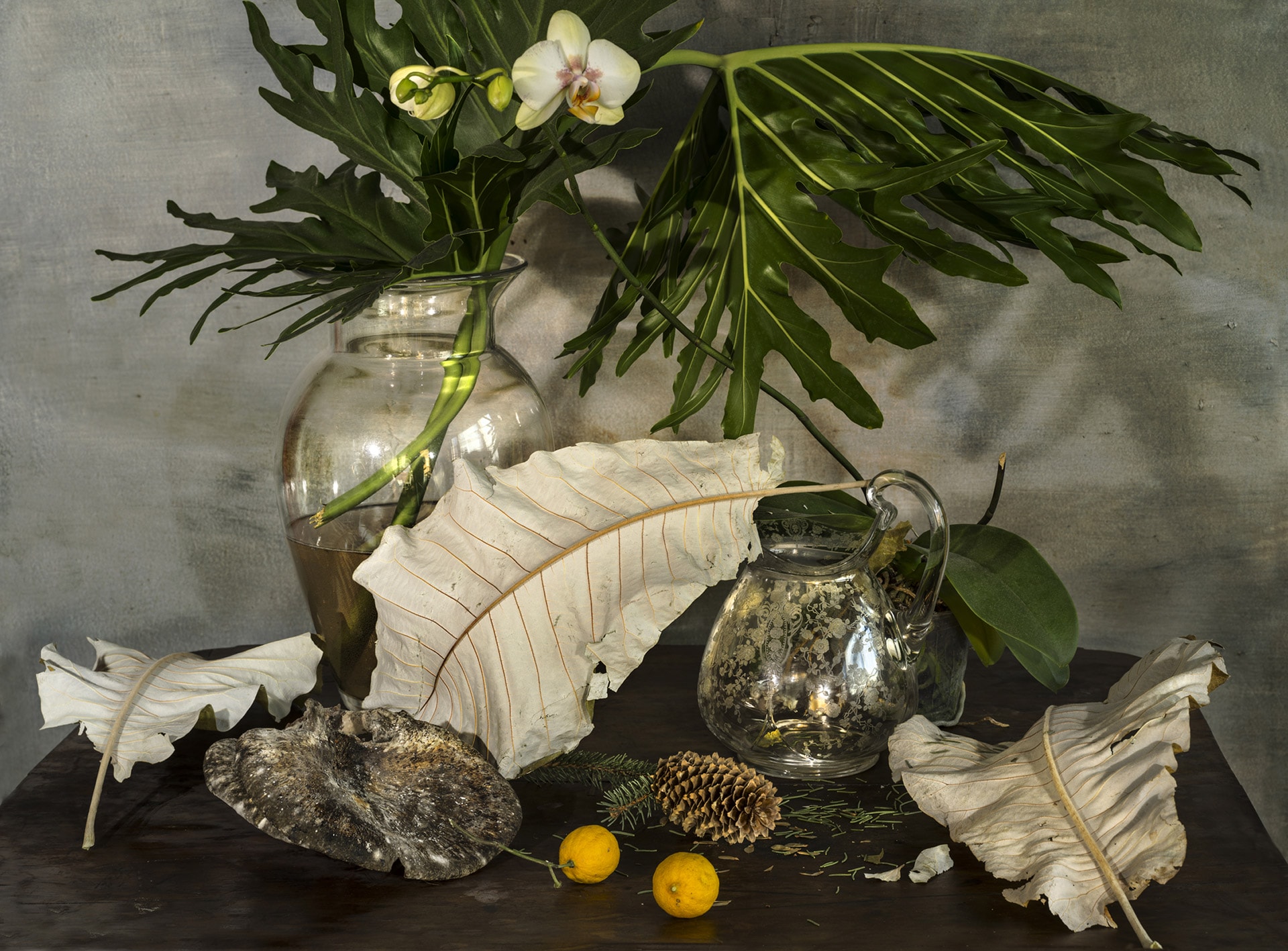 Bildarstellung von 7 The One Leaf 