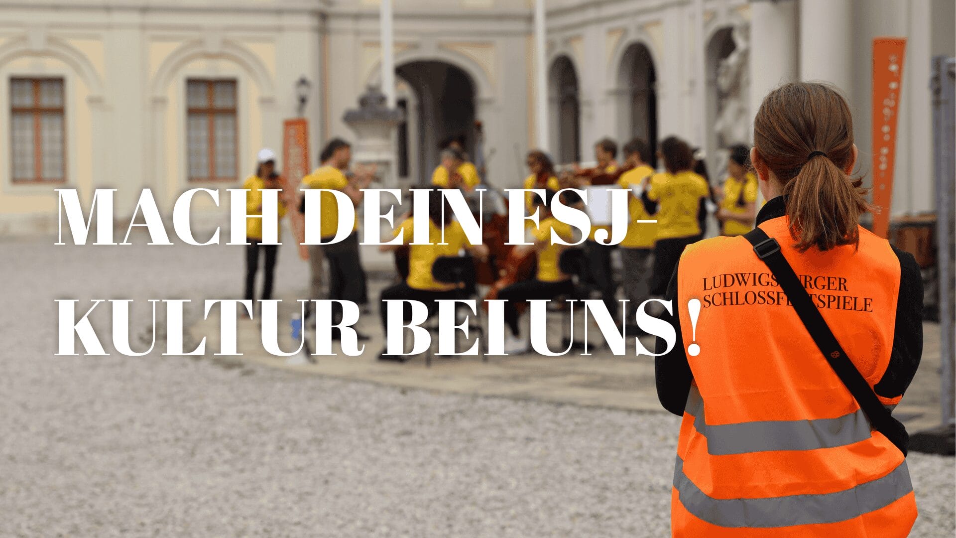 Fsj kultur